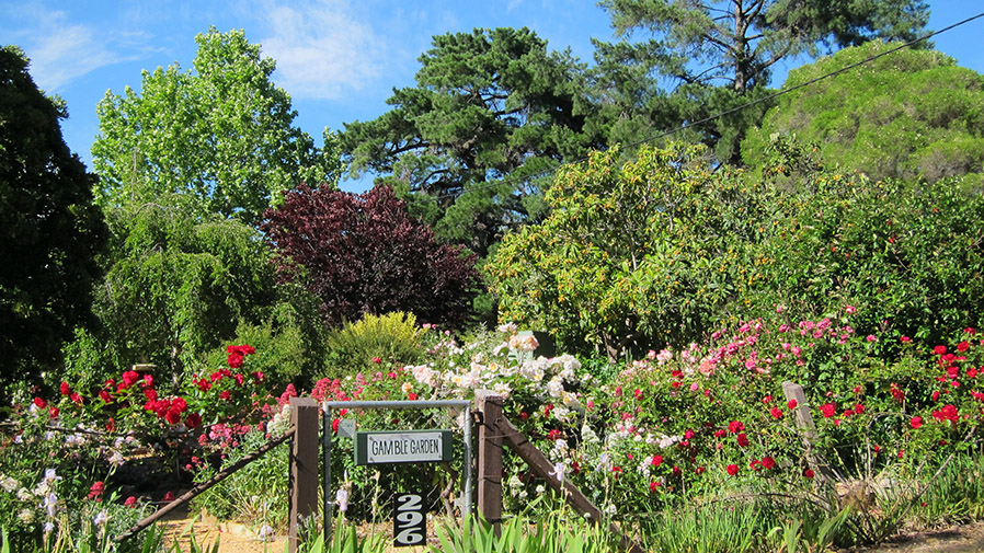 Gamble Cottage from Main Road